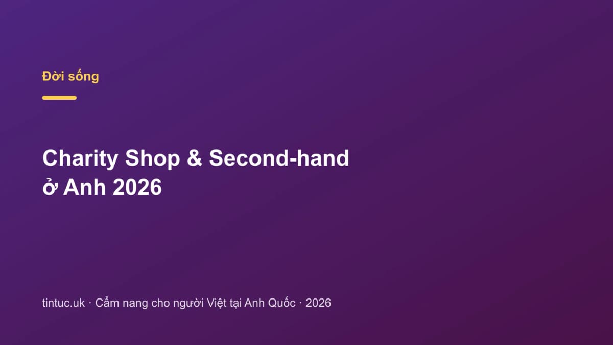 Charity Shop & Second-hand ở Anh 2026
