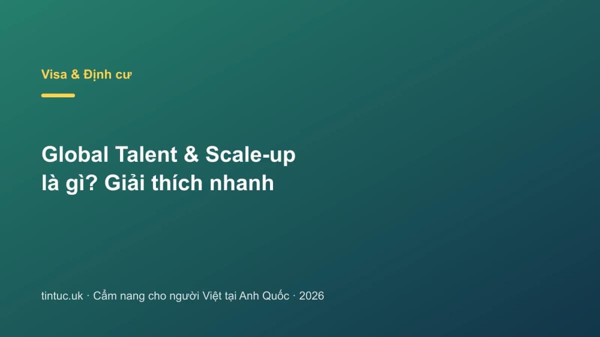 Global Talent & Scale-up là gì? Giải thích nhanh