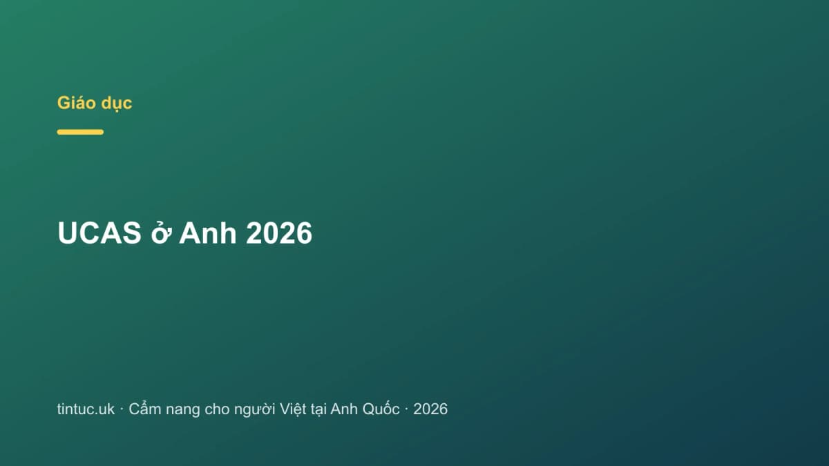 UCAS ở Anh 2026